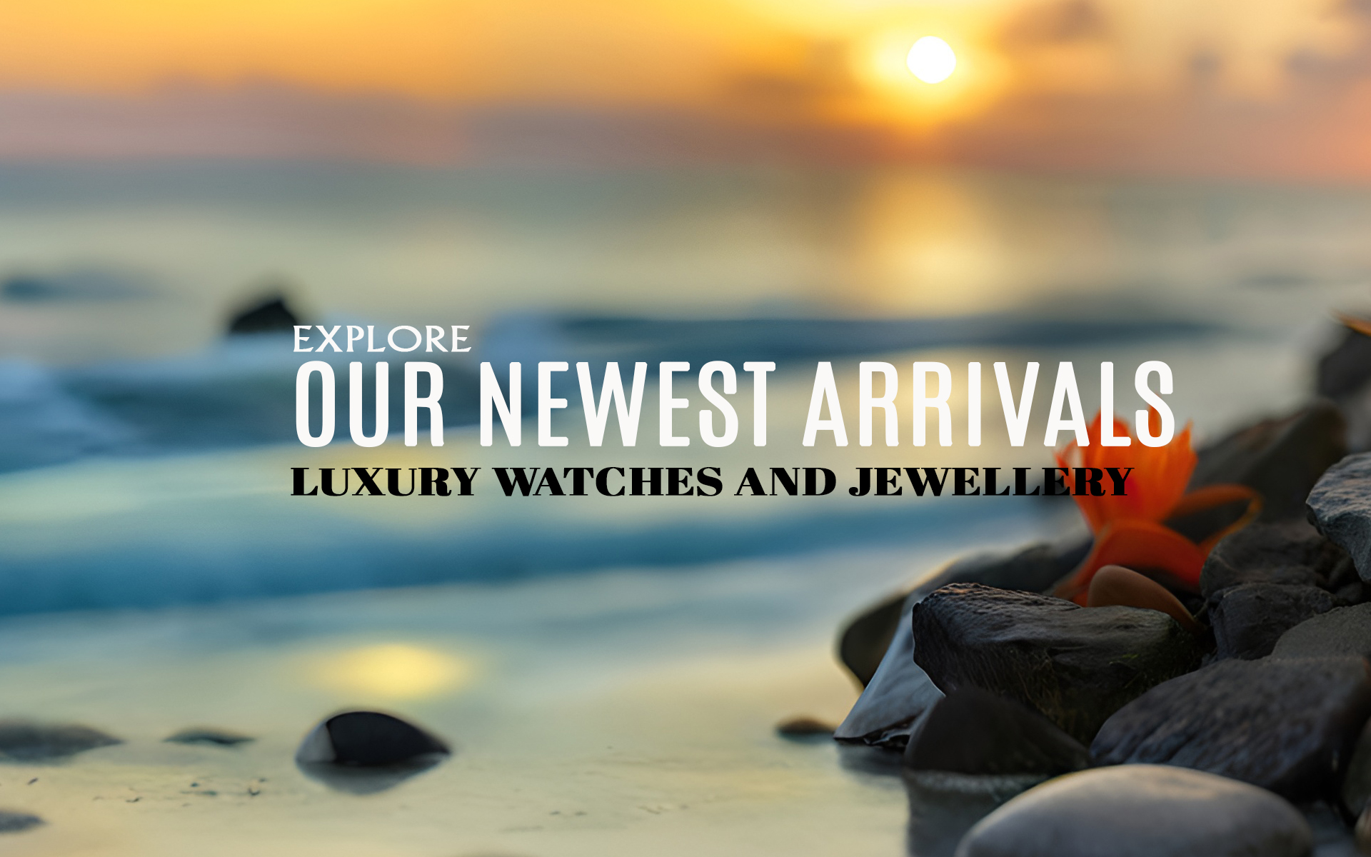 Explore our Newest Arrivals