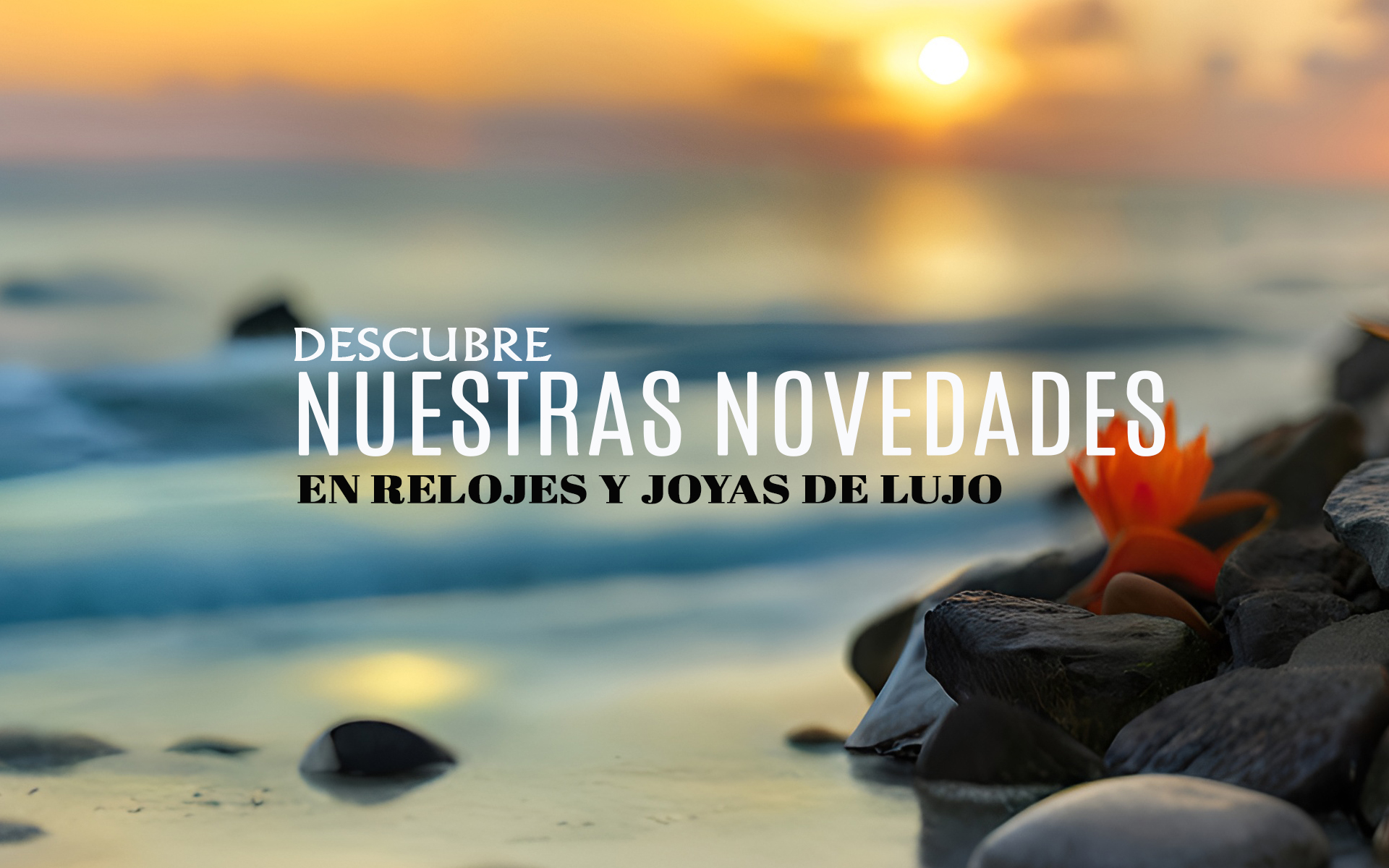 Descubre Nuestras Novedades